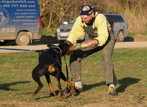 Training in Prague 3/2007